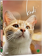 고양이 케디 - [DVD 녹화자료]