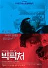 빅 픽처 - [DVD 녹화자료]  : 진짜 삶을 살고 싶던 한 남자